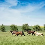 Hospudka Na Halde Gasthuis